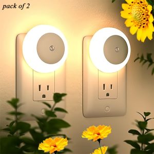Smart night light dusk to dawn pair